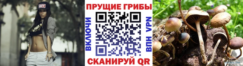 Галлюциногенные грибы MAGIC MUSHROOMS  hydra ONION  Слободской 